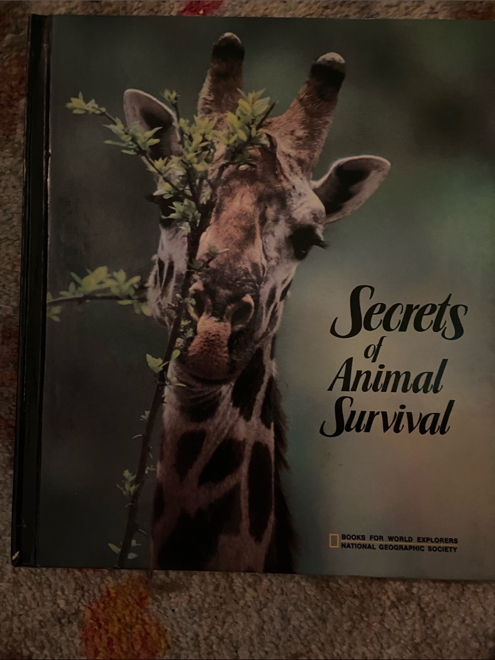 National Geographic Animal Survival Book Giraffe Cover PHOTOS Green Brown photo